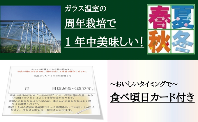 クラウンメロン中玉（白等級）１玉 果物類 メロン青肉 約1.