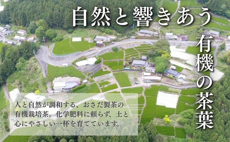 H28年度農林水産大臣賞受賞専門店の遠州森の茶 瑞峰3本セット 飲料類／お茶類