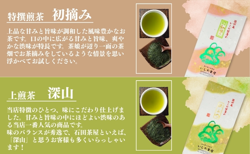 森の極上 深蒸し茶 セット 詰め合わせ 緑茶 お茶 茶 日本茶 深蒸し茶 茶葉 静岡茶 煎茶 お茶っぱ ギフト 贈り物 プレゼント 静岡 静岡県 森町