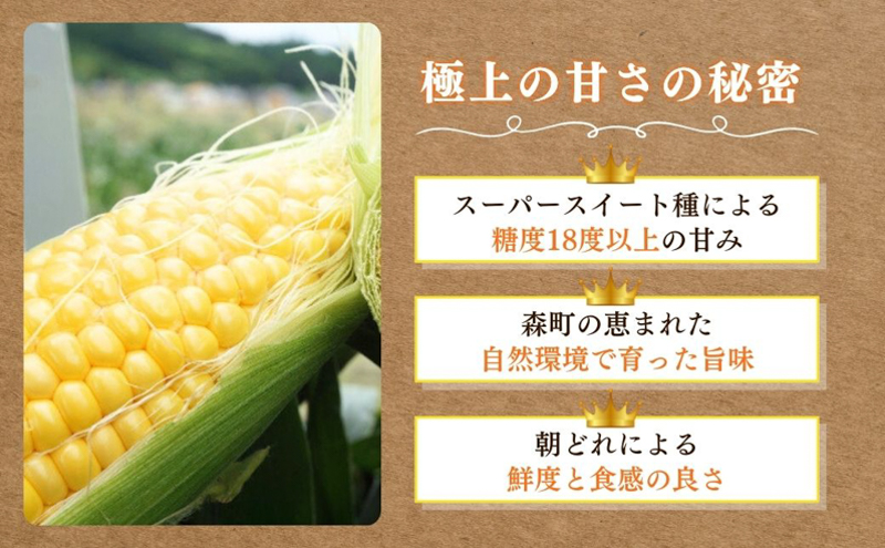 2026年産 実がぎっしり大きい 新鮮 朝どれ とうもろこし 先行予約 森のおおきみ 6本 セット 詰め合わせ 野菜 JGAP認証 しずおか認証取得農場 先行 予約 2026 2026年 新鮮野菜 静岡 静岡県 森町