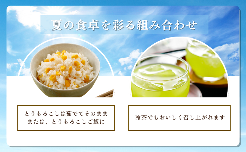 【2026年産】先行予約 とうもろこし 新茶 セット 詰め合わせ しんちゃん農園 甘い 森のとうもろこし 8～9本 緑茶 1パックトウモロコシ 茶 日本茶 茶葉 静岡茶 煎茶 お茶っぱ 先行 予約 2026 2026年 静岡 森町
