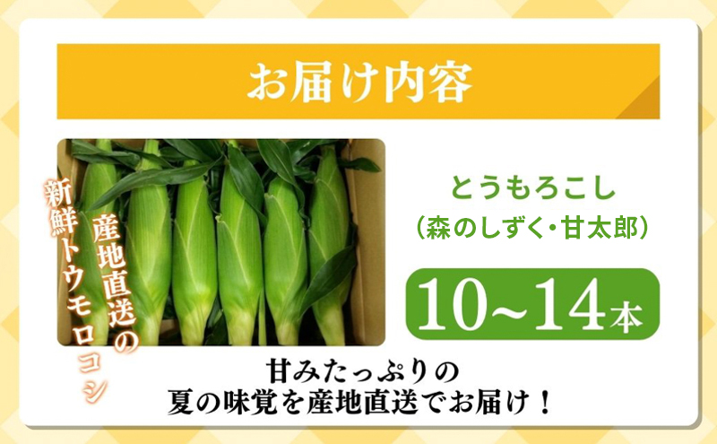 先行予約 とうもろこし 10～14本入り 田中農園 甘い 野菜 夏野菜 旬 夏 高糖度 産地直送 旬の野菜 季節の野菜 おやつ コーン 森のしずく ロイシーコーン 甘太郎 先行 予約 2026 2026年 静岡 静岡県 森町