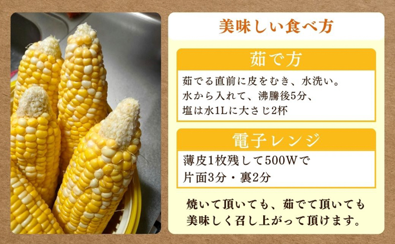 とうもろこし 先行予約 甘々娘 12～14本 幻のとうもろこし 朝どれ 甘い 野菜 夏野菜 旬 夏 高糖度 産地直送 旬の野菜 季節の野菜 新鮮野菜 おやつ コーン 先行 予約 2025 2025年 静岡 森町 冷蔵 冷蔵配送
