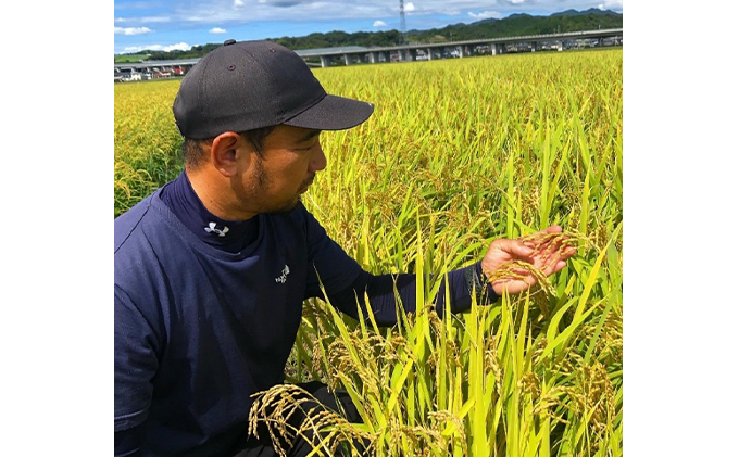 静岡県 遠州森町産 きぬ娘「小国のめぐみ」