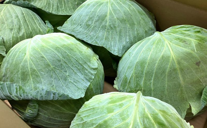 花餃子(22個入×2袋)と梅しそ餃子(22個入×2袋)のセット