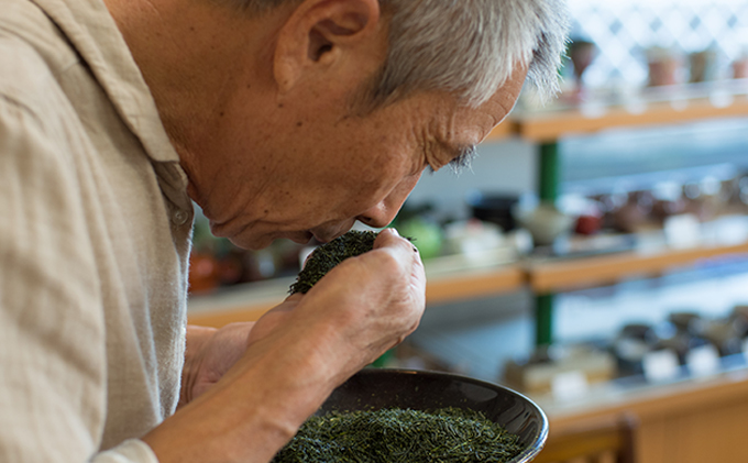 訳あり 深蒸し茶 100g 10袋 セット 詰め合わせ お茶 茶 日本茶 深蒸し茶 茶葉 静岡茶 緑茶 煎茶 お茶っぱ 訳アリ 静岡 静岡県 森町