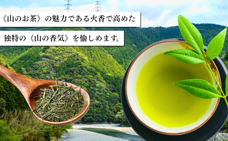 天竜水系5本セット