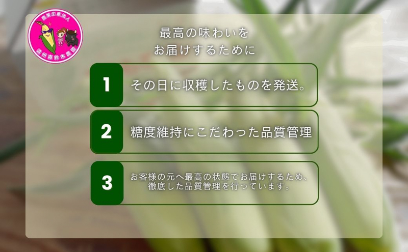 【テレビで紹介されました！】とうもろこし 先行予約 森のとうもろこし 12～14本 甘い 野菜 夏野菜 旬 夏 高糖度 産地直送 旬の野菜 季節の野菜 おやつ 行列のできる コーン 先行 予約 2026年 静岡 森町 冷蔵 冷蔵配送