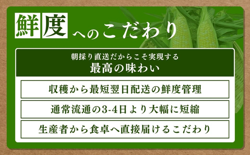 とうもろこし 先行予約 甘々娘 12～14本 幻のとうもろこし 朝どれ 甘い 野菜 夏野菜 旬 夏 高糖度 産地直送 旬の野菜 季節の野菜 新鮮野菜 おやつ コーン 先行 予約 2025 2025年 静岡 森町 冷蔵 冷蔵配送
