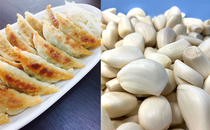 にんにく餃子(22個入り×2袋)と梅しそ餃子(22個入り×2袋)　2ヶ月毎6回お届け