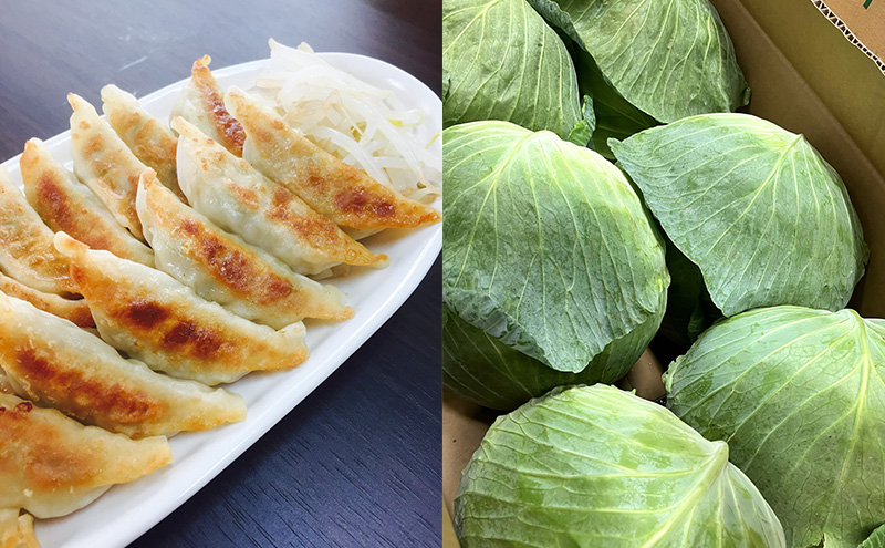 花餃子(22個入×2袋)と梅しそ餃子(22個入×2袋)のセット