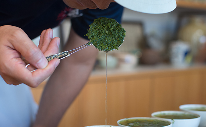 訳あり 深蒸し茶 100g 10袋 セット 詰め合わせ お茶 茶 日本茶 深蒸し茶 茶葉 静岡茶 緑茶 煎茶 お茶っぱ 訳アリ 静岡 静岡県 森町