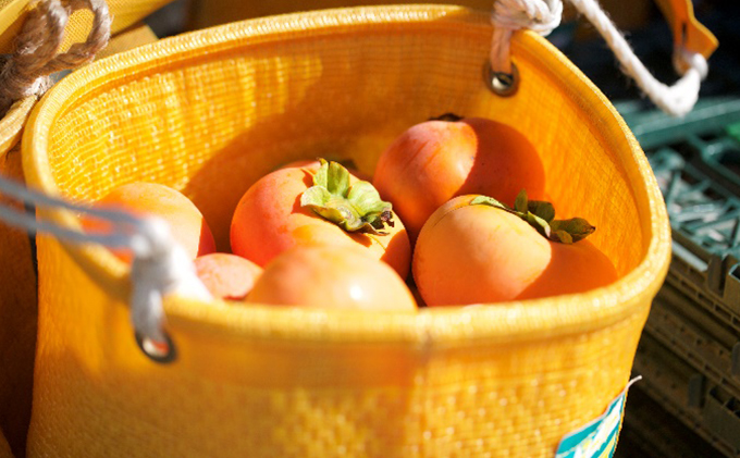 森の治郎柿 バラ詰め（約5kg） 果物類 フルーツ デザート 丹精 特化産品 高糖度 甘い 食感 好評 自信 完熟 美味しい