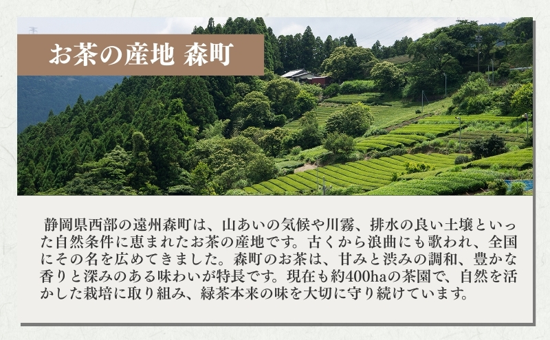 森の深蒸し茶まろや香１００ｇ入　１０袋