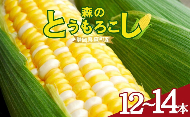 【テレビで紹介されました！】とうもろこし 先行予約 森のとうもろこし 12～14本 甘い 野菜 夏野菜 旬 夏 高糖度 産地直送 旬の野菜 季節の野菜 おやつ 行列のできる コーン 先行 予約 2026年 静岡 森町 冷蔵 冷蔵配送