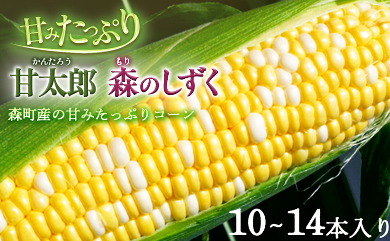 先行予約 とうもろこし 10～14本入り 田中農園 甘い 野菜 夏野菜 旬 夏 高糖度 産地直送 旬の野菜 季節の野菜 おやつ コーン 森のしずく ロイシーコーン 甘太郎 先行 予約 2026 2026年 静岡 静岡県 森町