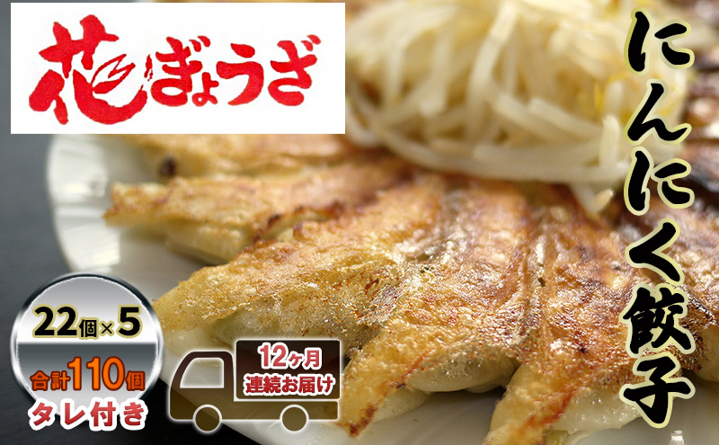にんにく餃子110個(22個入×5袋)12ヶ月連続お届け