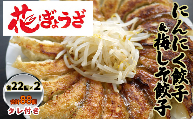 にんにく餃子(22個入り×2袋)と梅しそ餃子(22個入り×2袋)のセット