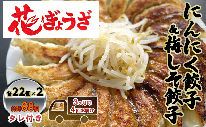 にんにく餃子(22個入り×2袋)と梅しそ餃子(22個入り×2袋)　3ヶ月毎4回お届け