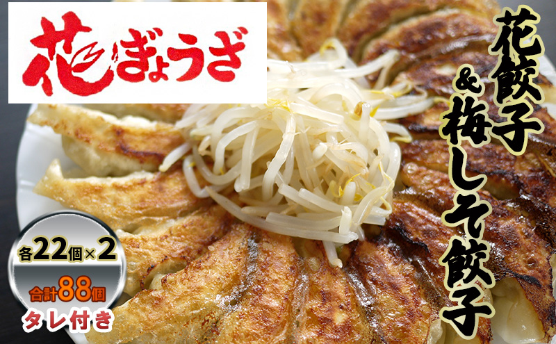 花餃子(22個入×2袋)と梅しそ餃子(22個入×2袋)のセット