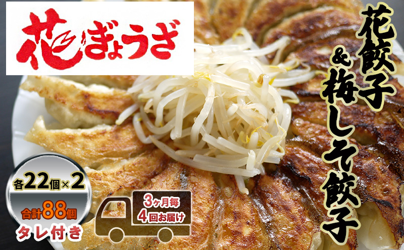 花餃子(22個入×2袋)と梅しそ餃子(22個入×2袋)のセット 3ヶ月毎4回お届け
