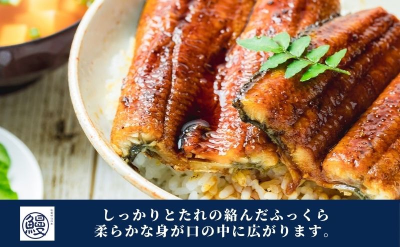 【創業1871年】浜名湖うなぎ 蒲焼6尾(750g前後)ミネラル成分豊富な水で育てた鰻 ウナギ うなぎ 惣菜 おかず 蒲焼き おすすめ 浜名湖 静岡県 森町