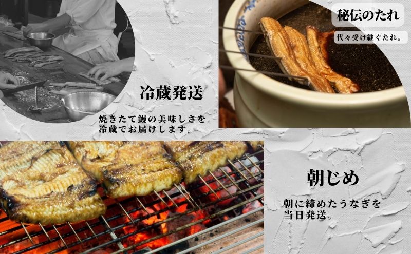 【創業1871年】浜名湖うなぎ 蒲焼7尾(875g前後)ミネラル成分豊富な水で育てた鰻 ウナギ うなぎ 惣菜 おかず 蒲焼き おすすめ 浜名湖 静岡県 森町