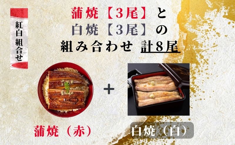 【創業1871年】浜名湖うなぎ 紅白焼6尾(750g前後)ミネラル成分豊富な水で育てた鰻 ウナギ うなぎ 惣菜 おかず 蒲焼き おすすめ 浜名湖 静岡県 森町