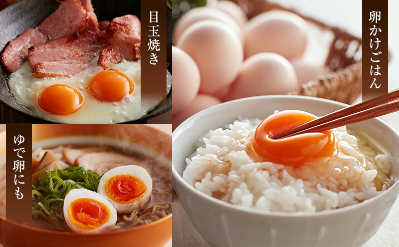 平飼い烏骨鶏卵10個と自家製醤油麹（卵かけご飯専用）たまご 生卵 タマゴ うこっけい 平飼い 醤油麹 森町 静岡県