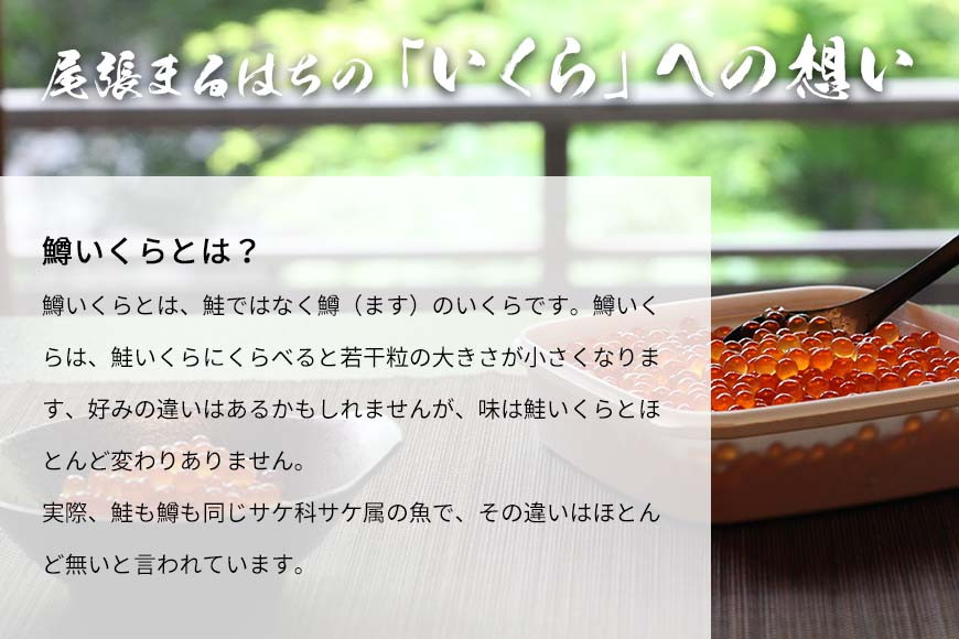 いくら 醤油漬け(100g) 鱒の卵 冷凍 尾張まるはち