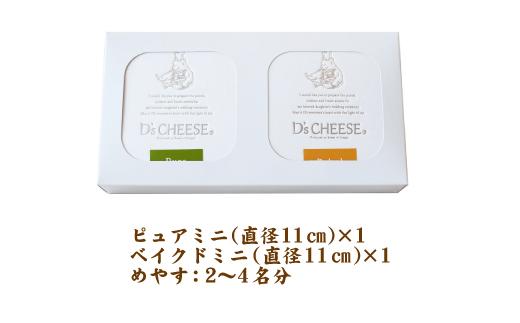 チーズケーキ専門店がこだわった贅沢２種のチーズケーキ（カジュアルギフトA）