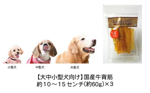 精肉店がこだわった【大中小型犬向けおやつ】国産牛背筋　60g×3　無添加 手作り