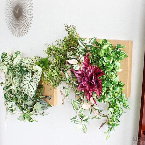 Botanical c.class 06　ナチュラル