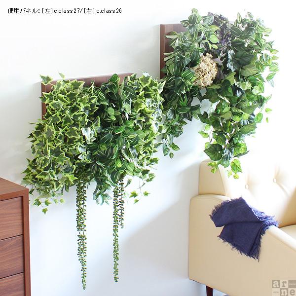 Botanical c.class 27　ダークブラウン