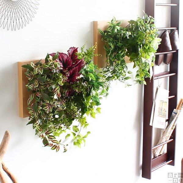 Botanical c.class 01　ブラウン