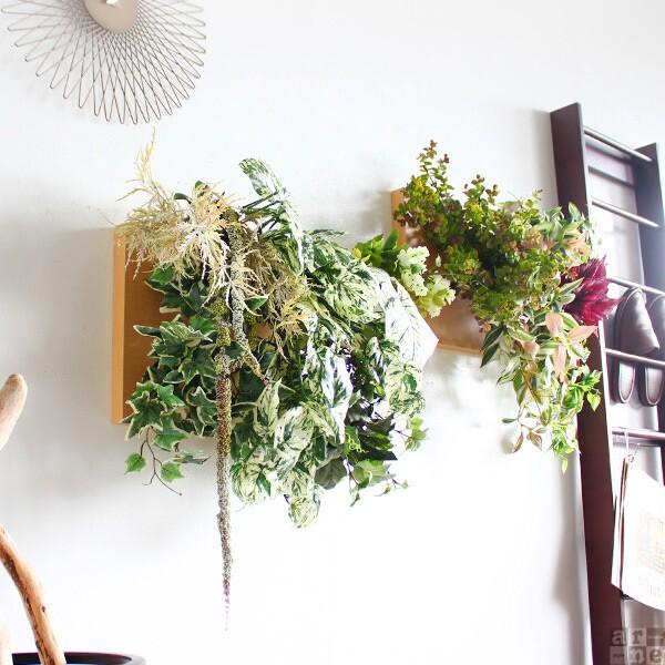 Botanical c.class 02　ブラウン