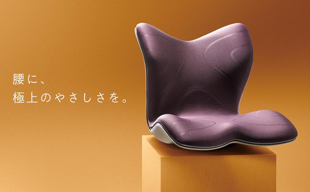 Style PREMIUM【ブラウン】 | スタイルプレミアム 骨盤 椅子 座椅子 姿勢サポート 姿勢矯正 健康グッズ 人気 おすすめ 腰痛対策 体幹サポート 美姿勢 健康器具 送料無料 名古屋市