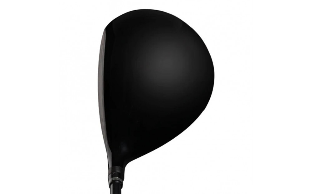 Zodia T309ドライバー　RODDIO社製Zodiaオリジナルシャフト　50S