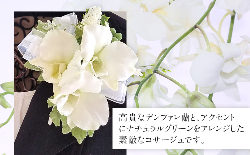 コサージュ　デンファレ　蘭　入学式　卒業式　パーティ　セミナー