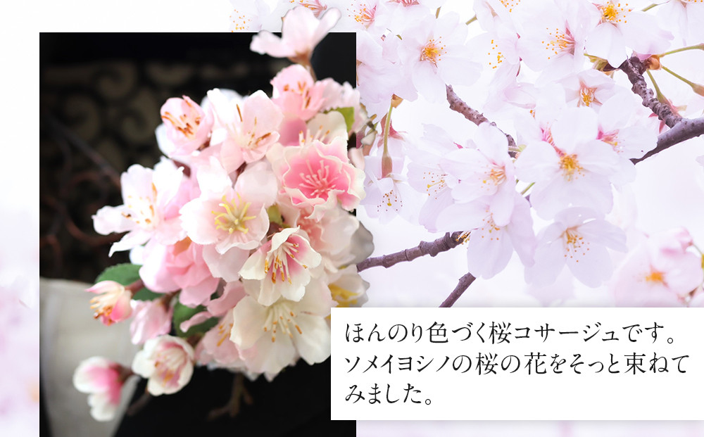 桜サクラのコサージュ　入学式　卒業式　謝恩会　袴　髪飾り
