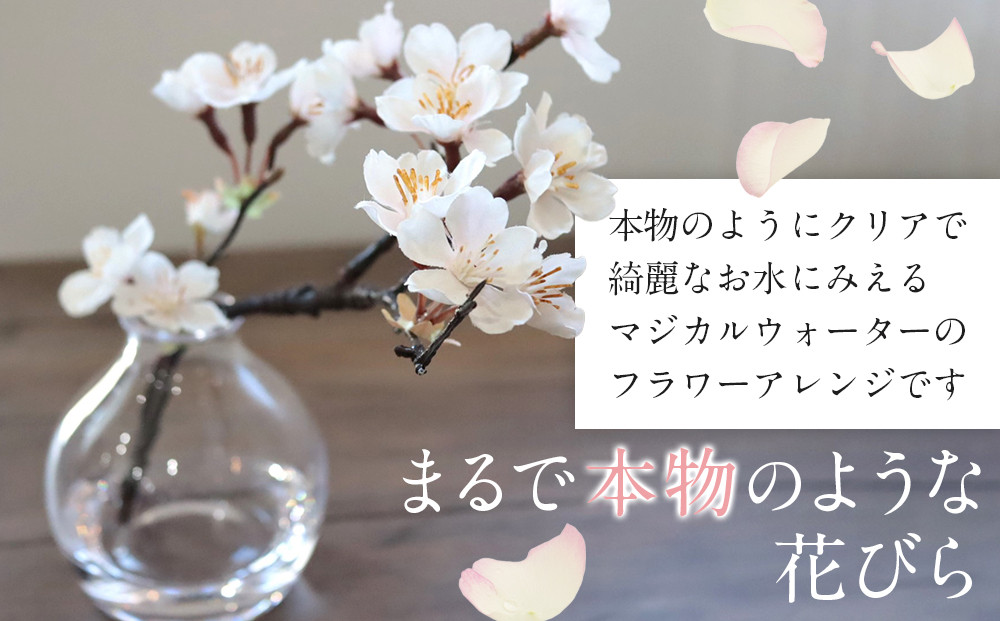 新春　淡雪桜　さくら　魔法の水　マジカルウォーター『淡雪』