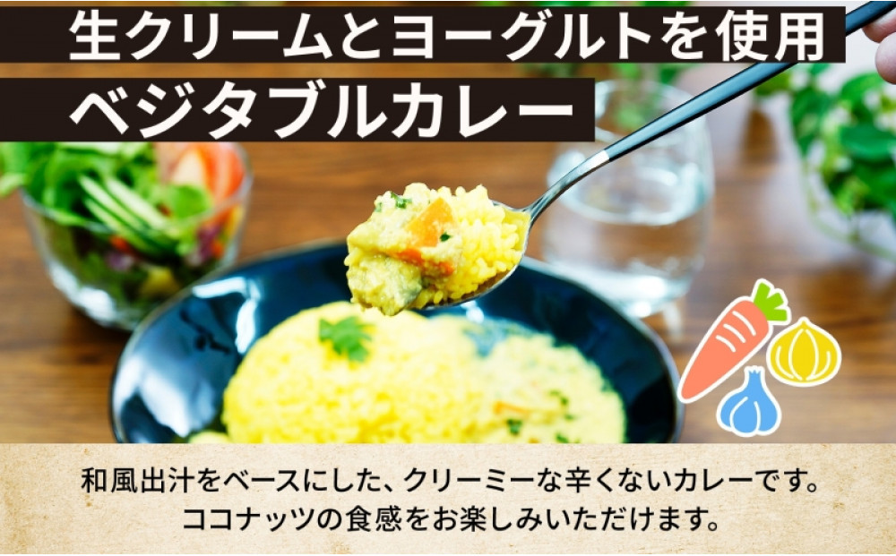 コーノスパイス ベジタブルカレー 200g×3パック スパイスカレー 和風出汁 クリーミー ココナッツ 小麦粉不使用 グルテンフリー カレーライス CONO SPICE コーノコーラ 愛知県 名古屋市