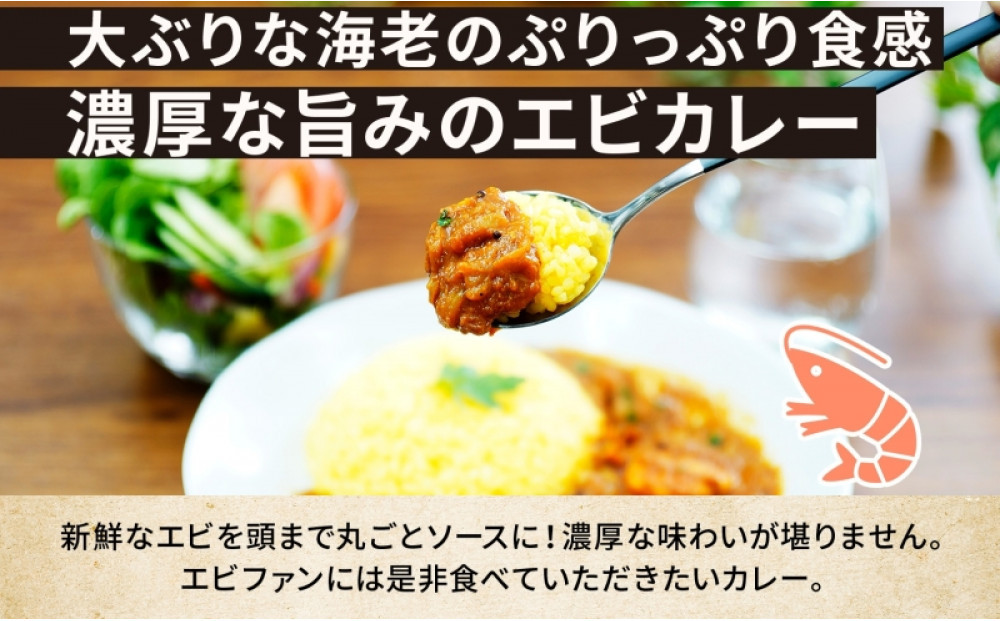 コーノスパイス エビカレー 200g×5パック スパイスカレー エビ カレー 海老 えび 小麦粉不使用 グルテンフリー スパイシー カレーライス 冷凍 CONO SPICE コーノコーラ 送料無料 愛知県 名古屋市