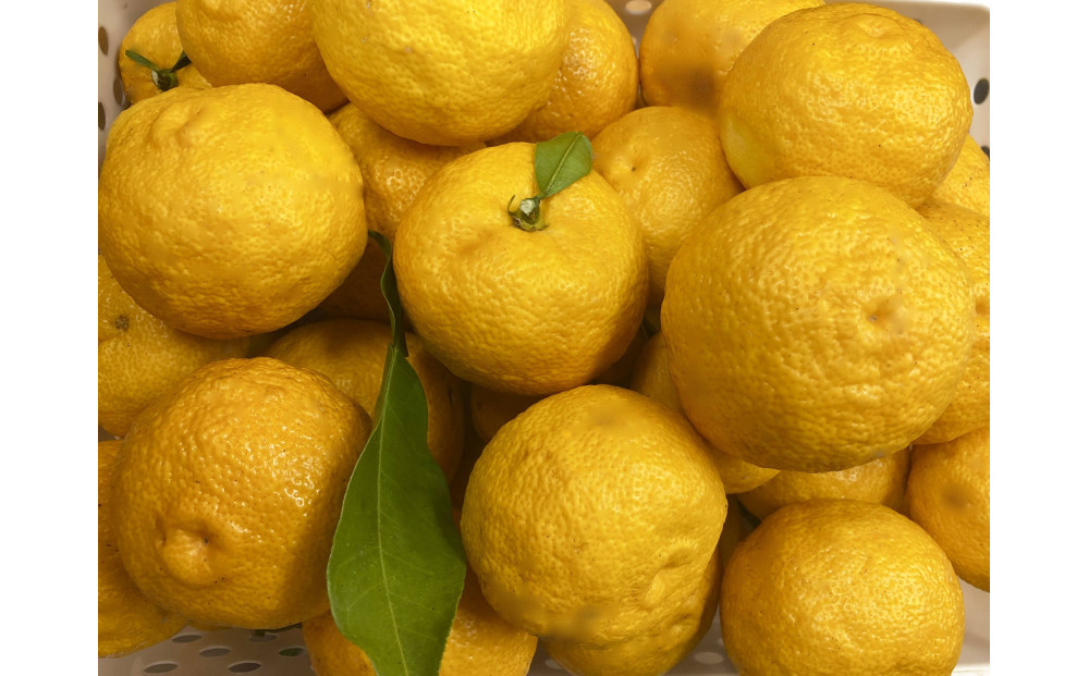 ゆず ルームフレグランスミスト