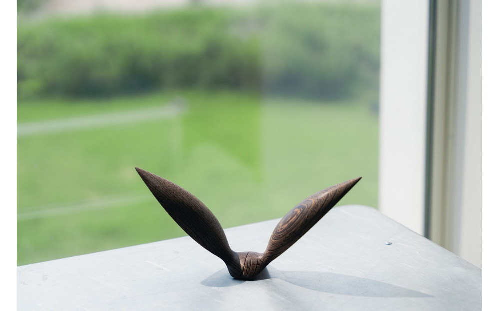 【Tagayasan（タガヤサン）：こげ茶】【銘木再生】幸運を運ぶ木製オブジェliving_bird 鴎