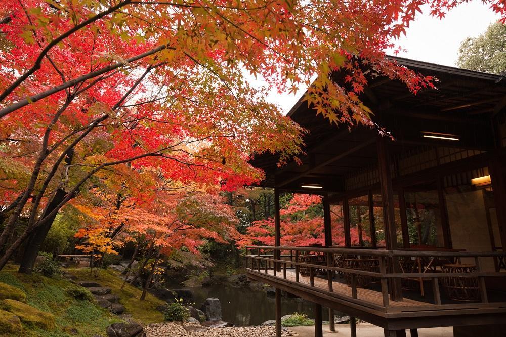 重要文化財「料亭 八勝館」ペア御食事券