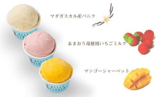 【定番のおいしさで彩り豊かに！】ベルヘラルドアイスクリーム・シャーベット詰め合わせ６個入ギフト 食べ比べ スイーツ