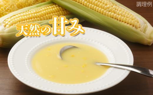 【大自然のコーンの甘み】ストレートコーンスープ５人前 トウモロコシの甘み まろやか