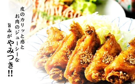 【本場】手羽先唐揚げ　普通　真空冷凍　1袋5本入り×8袋 おつまみ