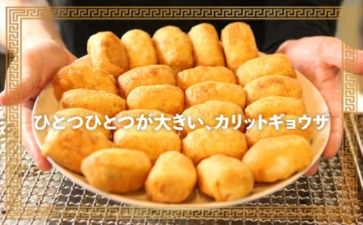 カリットギョウザ 焼き餃子 冷凍48個　ジューシー ひとつひとつが大きい